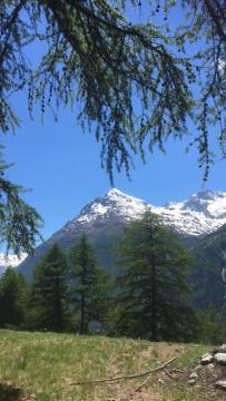 Haus Valaisia - Randa Bei Zermatt 아파트 외부 사진